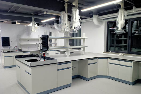 生物實(shí)驗(yàn)室建設(shè)設(shè)計(jì)說(shuō)明怎么寫？